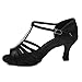 Roymall Women's Satin Latin Dance Shoes Model 227