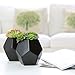 MyGift Set of 2 Realistic Artificial Succulent Plants in Matte Black Modern Geometric Ceramic Pots