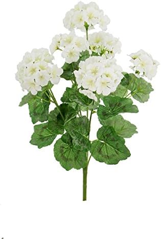 Renaissance 2000 Geranium Bush, White