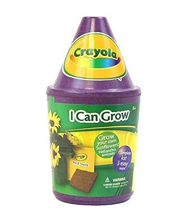 Crayola puedo crecer Kit, girasoles by Crayola: Amazon.es: Jardín