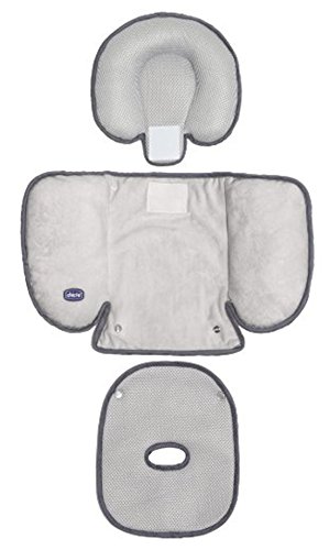 chicco seat protector
