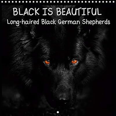 Black Is Beautiful Long Haired Black German Shepherds 2020