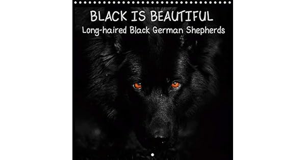 Black Is Beautiful Long Haired Black German Shepherds 2020