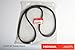 Genuine OEM Factory Fit Honda Ridgeline Pickup Truck Year 2008 3.5L V6 Enginess Timing Belt and Water Pump Kit Part # Honda Ridgeline 2008 3.5L V6-6C Honda Acura