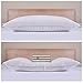 Standard / Queen Size, Goose Feather and Down Bedding Pillow Insert, Pack of 2, Hotel Collection Pillows for Sleeping, 100 Percent Nature Cotton Shell, (Size 18x26