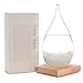 Storm Glass Weather Predictor glass Barometer Forecaster Creative Crystal Decorative Bottles Desktop Drops Forecast bottle Home and Office Birthday Christmas Gifts
