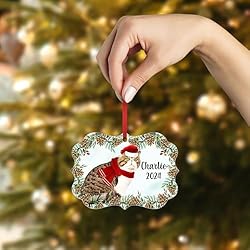 Tabby Exotic Shorthair Cat Christmas Ornament 2024