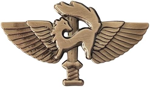 Amazon.com: Israeli army IDF PARATROOPER WINGS BADGE Israel Zahal