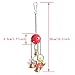 RYPET Bird Bell Toy, Bellpull Bird Toy Parrot Cage Toys Cages African Grey Conure Cockatielthumb 4