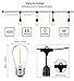 Outdoor String Lights Led 48 Ft,Waterproof Commercial Grade Heavy Duty Connectable Edison String Light with 15 Vintage Bulbs and 1 Spare Bulb UL listed,String Lighting for Patio Garden Wedding Party