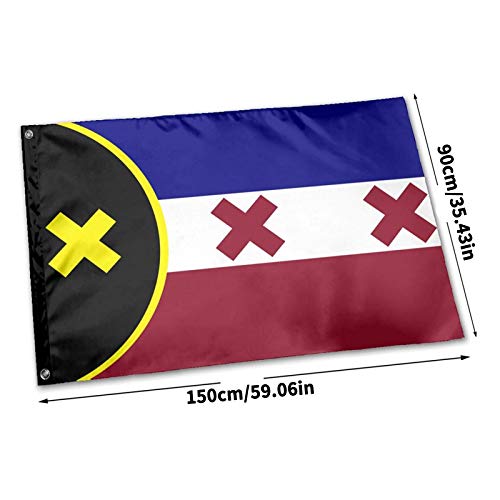 LIZENG lmanburg Flag 2020 Dream SMP,