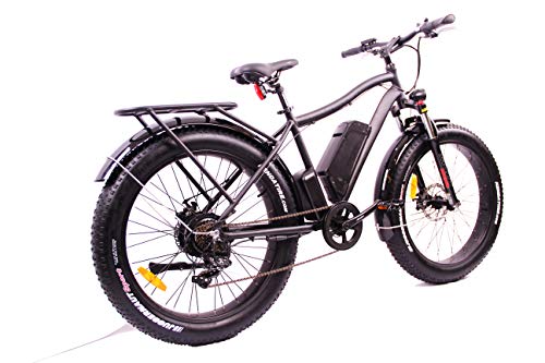 Breeze Mens Electric Bike for Hunting. 750 w Motor, Fat Tire EBike. Ride in All Weather. Up to 50 Mile on Single Charge. Rear Rack for Hauling Gear. 7 Speed, Front Headlight. Pedal Assist & Throttle - Thumbnail 2
