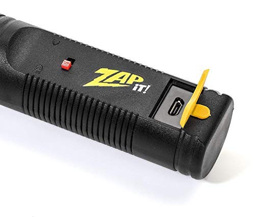 ZAP IT! Bug Zapper - Rechargeable Mosquito, Fly Swatter/Killer and Bug