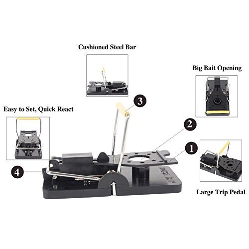 JER Lot de 8 Pièges à Souris Réutilisables Piege Souris Piege Rat à Déclenchement Précis, Kill Mice Catcher pour Maison