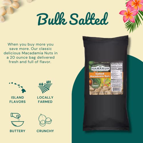 Hamakua Macadamia Nuts Bulk Macadamias Hawaiian Grown Dry Roasted Half and Whole Macadamias