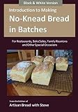 Introduction to Making No-Knead Bread in Batches (For Restaurants, Bake Sales, Family Reunions and O by Steve Gamelin