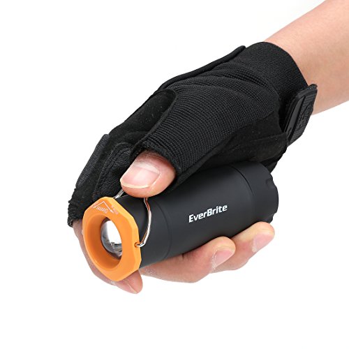 image for EverBrite Mini Camping Lantern 2-pack Zoomable LED Flashlight 60 Lumen