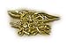 U.S. Navy Seal Pin, Full Size Device