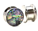 Pair (2) Wild Abalone Shell Inlay Ear Plugs Stainless Steel Screw Fit Stash Gauges - 4G 5MM