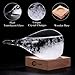 3D HOME Storm Glass Weather Stations Water Drop Weather Predictor Creative Forecast Nordic Style Decorative Weather Glass (Small)