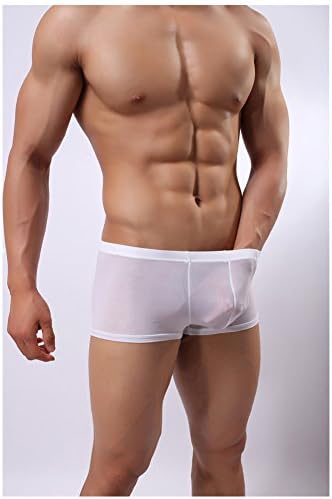 Casualfashion Sexy Male ICY Cool Boxer Briefs 5 Colors Comfortable Thin Ice Silk Underwear for Men (XL, White)