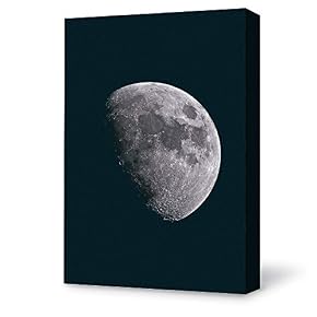 for Living Room Bedroom Home Artwork Paintings Beautiful Moonlight