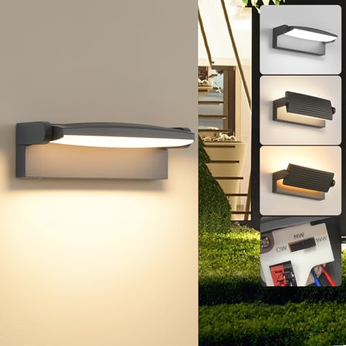 SANSHI Outdoor Light 30 W, Wall Light Indoor Outdoor 3000 K / 4000 K / 6500 K Waterproof IP65 Outdoor Light Wall Lamp with 350° Swivel LED Panel, Outdoor Wall Light for Garden Patio, Dark Grey