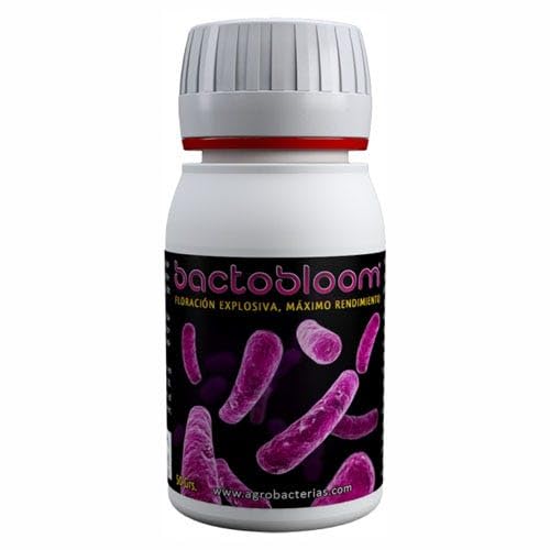 Additive Powder mycobacteria for Bloom Agrobacterias BactoBloom (50g)