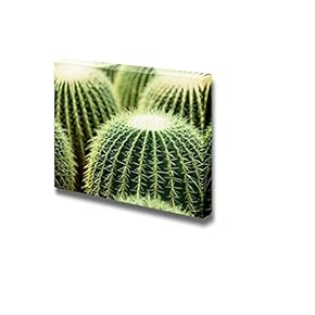 Canvas Prints Wall Art - Closeup Photo of Cactus | Modern Wall Decor/Home Art Gallery Wraps Giclee Print & Wood Framed. Ready to Hang - 12" x 18"