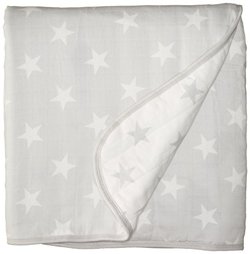 aden and anais flannel muslin blanket