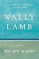 We Are Water: A Novel