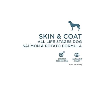 diamond naturals salmon dog food