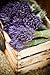 French Dried Lavender Flowers Bunch, Fragrant 100gr