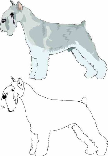 grooming standard schnauzer