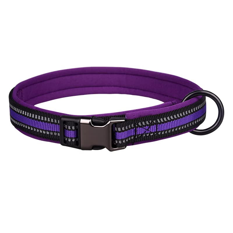 haoyueer Reflective Nylon Dog Collar with Safety Buckle, Adjustable Pet Collars with Soft Neoprene Padding for Small Medium Large Dogs (L fit neck 50-65cm, Purple)