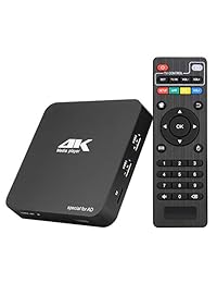 Reproductor multimedia digital 4K Ultra HD HDMI AV Out PPT MKV AVI RMVB RM para HDTV con mando a distancia compatible con unidades USB y tarjetas SD