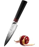 3.5-inch Pro Damascus Paring Knife -RING Series By Tuo Cutlery With Japanese 67 Layers VG-10 Damascus Stainless Steel and G10 Handle, TC0304