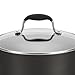 Anolon Advanced Hard Anodized Nonstick Casserole Dish/ Casserole Pan / Dutch Oven with Rack and Lid - 5.5 Quart, Gray