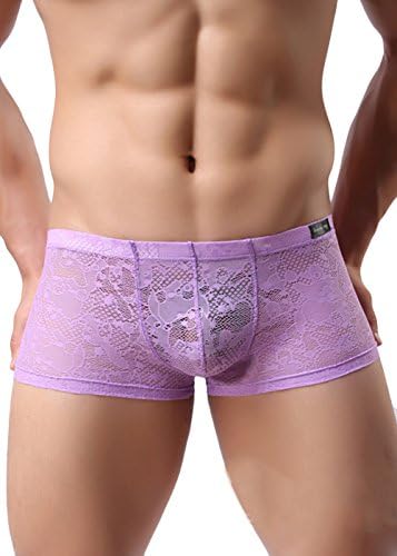 MLDYGYC Men's Sexy Lace Panties Underwear Sheer Low Rise Boxer Brief Underpants (US L = Asian Tag 3XL, Purple)
