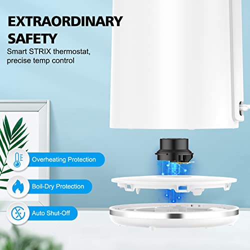 Vecuni Electric Kettle 1L, 1500W Fast Heating Double Wall Stainless Steel Interior Electric Tea Kettle with Filter, Auto Shut-Off & Boil-Dry Protection, BPA-Free, Countertop Tea Maker Coffee Pot