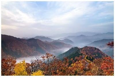 Amazon 滋賀県 高島市 おにゅう峠の雲海と紅葉のポストカード葉書はがき Photo By絶景 Com ポストカード 絵柄付はがき 文房具 オフィス用品