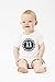 Monthly Baby Stickers Baby Boy Month 1-12 Milestone Age- Onesie Sticker