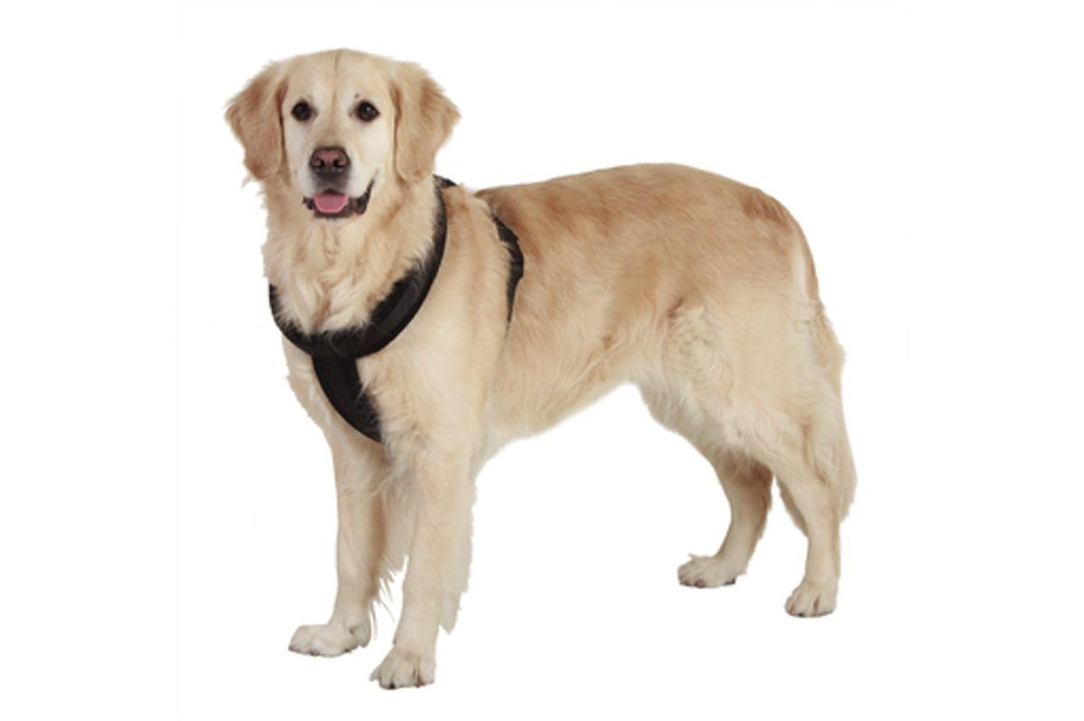 Dog Harness Cross Palos Black S 43cm 52-60cm 25mm