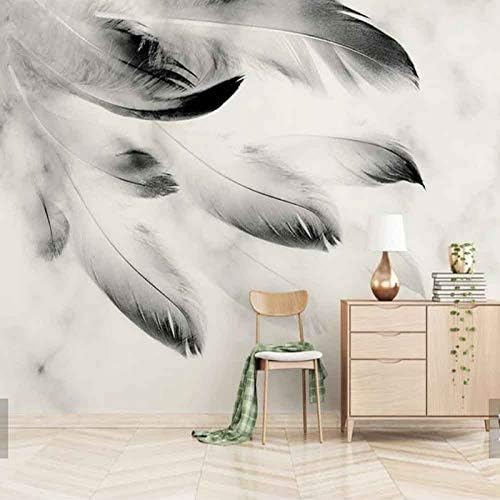 Abstract Black White Feather Animal Feather Mural Sofa TV Background Wall Paper Photo Wallpaper (W)300*(H)210cm A