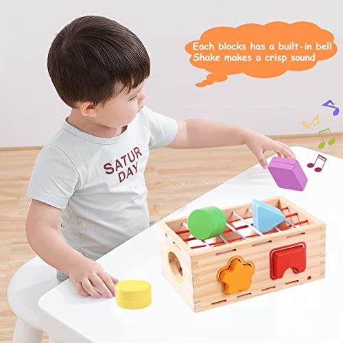 Wooden Shape Sorter Sensory Toys Baby Blocks Montessori Early Learning