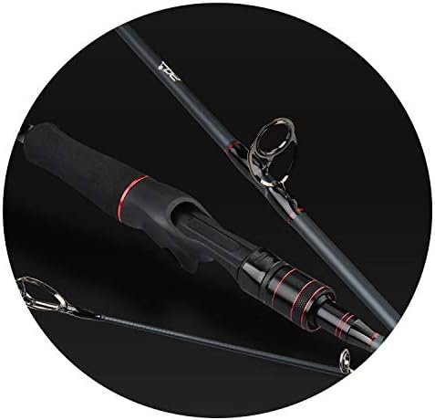 Carbon Body Casting Fishing Rod with 2 Rod Tips 1.98m 2.13m Rod for Squid Pike Fishing pole