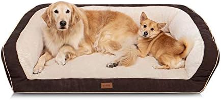 dog sofa beds for large dogs