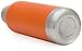 Simple Modern Autumn Bolt Water Bottle - Vacuum Insulated Narrow Mouth 18/8 Stainless Steel Thermos Travel Mug - Double Walled Flask with Insulated Lid - Powder Coated Hydro Canteen -