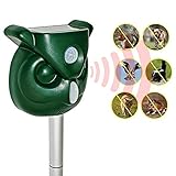 Chansh Solar Powered Ultrasonic Outdoor Animal Repeller + Flashing Strobe - Effectively Scares Away Cats, Dogs, Squirrels, Racoon Groundhog Skunk etc - Motion Activated [2019 Upgraded Version]