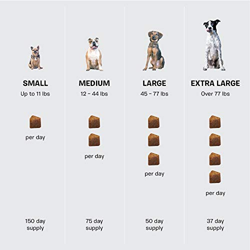 Barkbox Glucosamine Chondroitin Dog Supplement for Hip & Joints Made in The USA Veterinarian